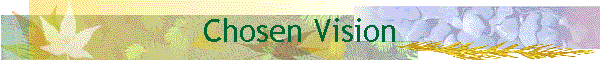 Chosen Vision