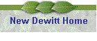 New Dewitt Home