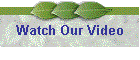 Watch Our Video