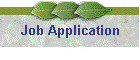 Job Application