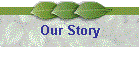 Our Story