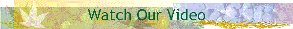 Watch Our Video