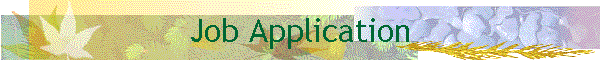Job Application