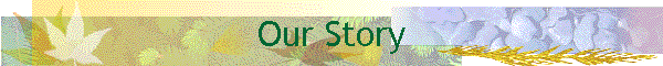 Our Story