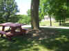 DSCN0977.JPG (85895 bytes)